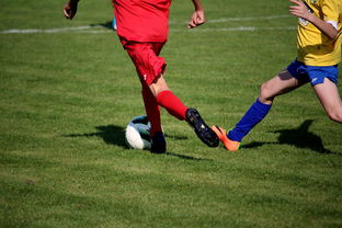 星空游戏平台-NBA球员训练计划优化设计,nba运动员训练计划